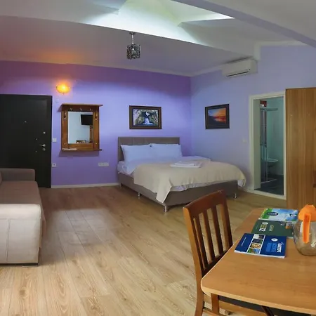 酒店 Saklibahce 3*